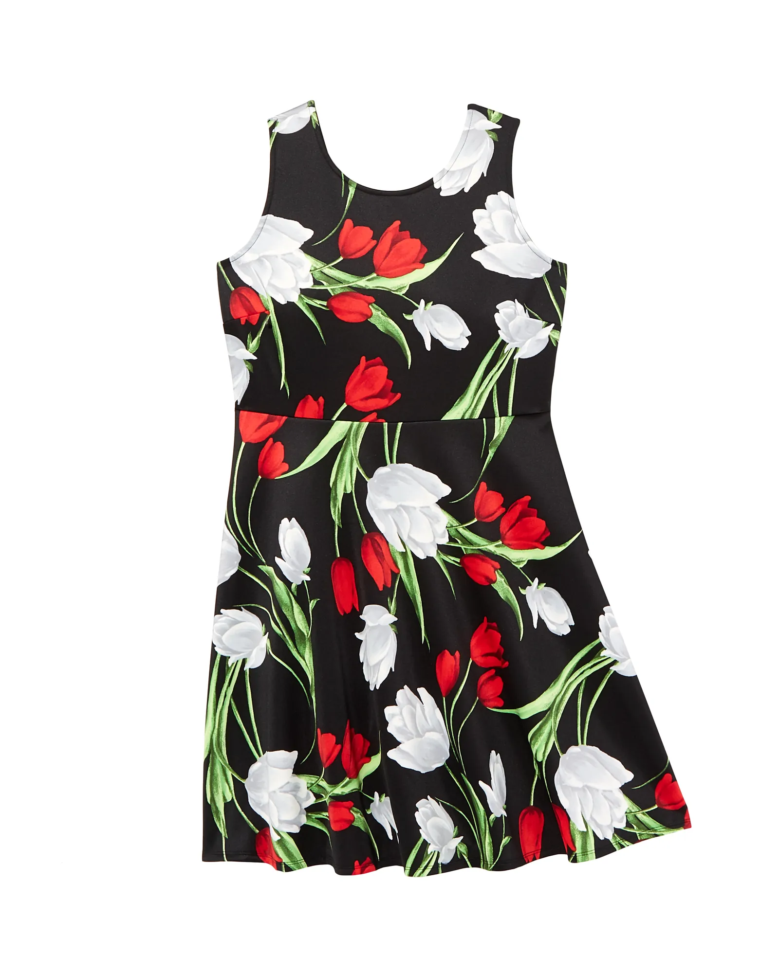 Belmont Fit and Flare Floral Dress | Black / Red