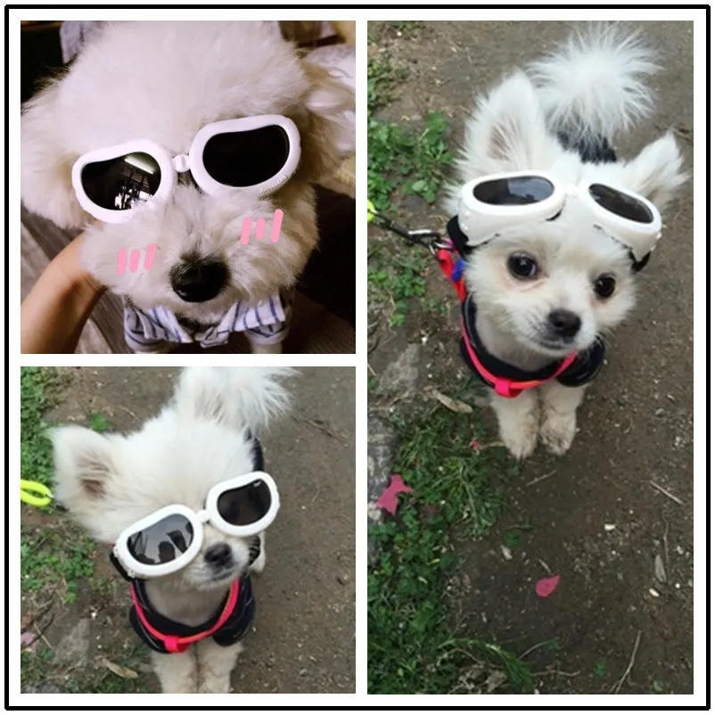 Pet Sunglasses Cat Dog Goggles Summer UV Protection